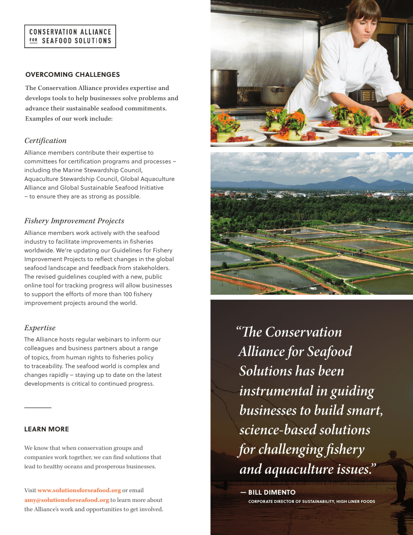 Alliance one-pager · back