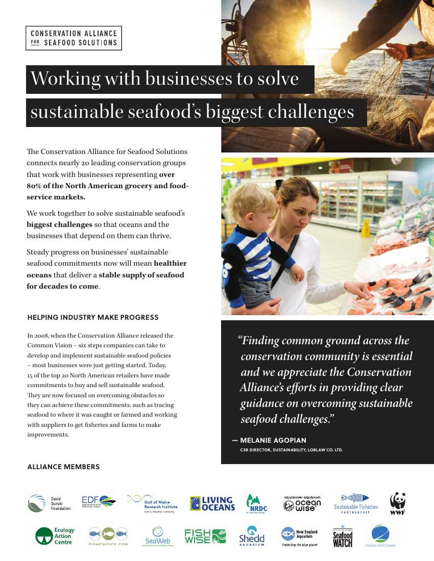 Alliance one-pager · front