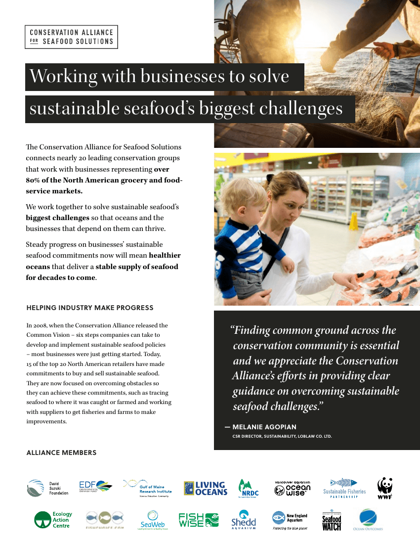 Alliance one-pager · web variant