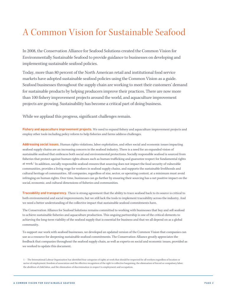 Common Vision report · page 2