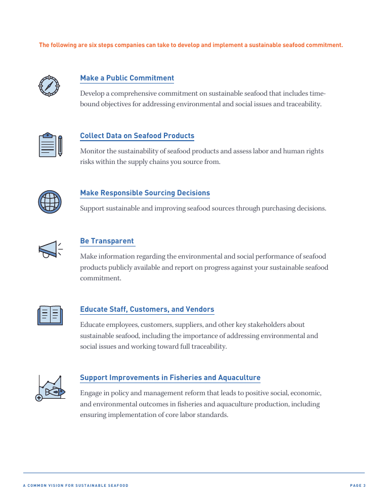 Common Vision report · page 3