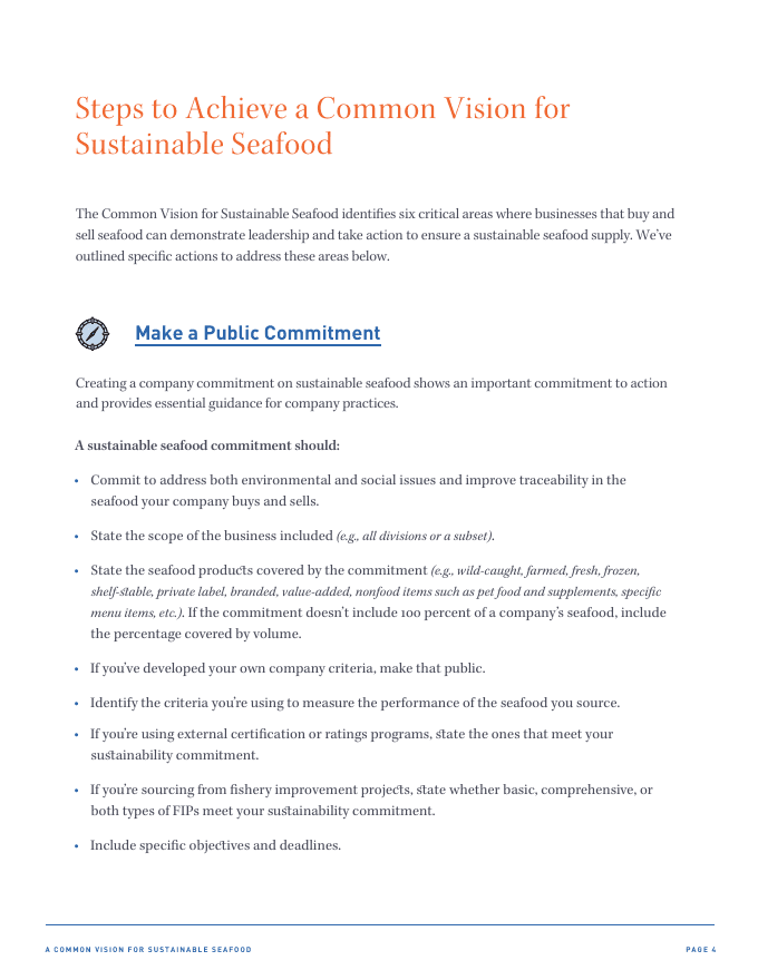 Common Vision report · page 4