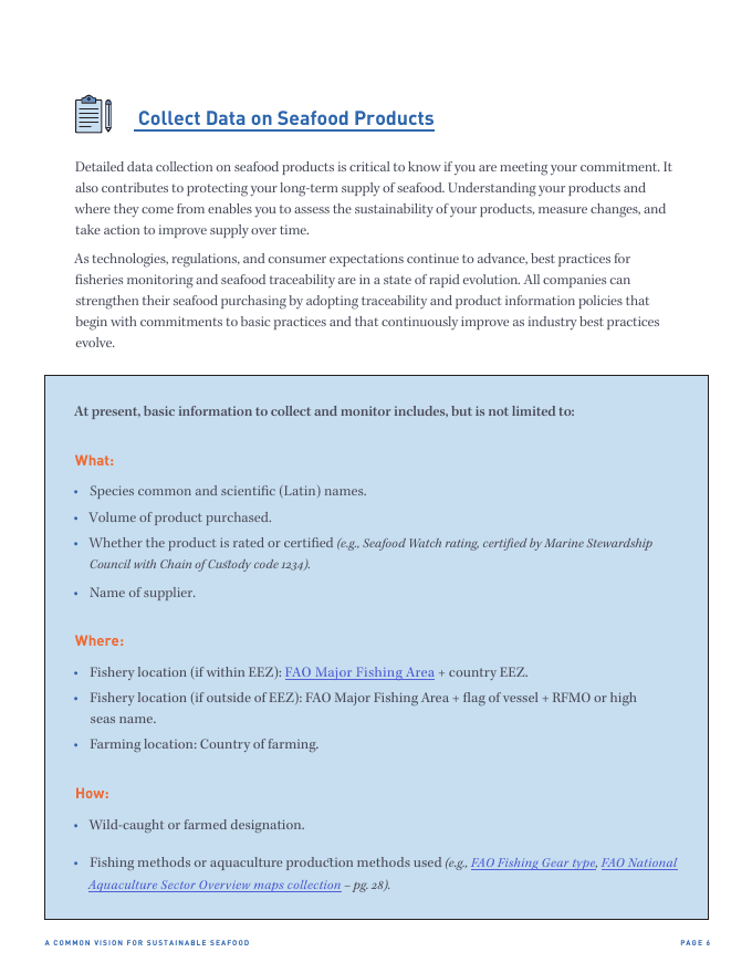 Common Vision report · page 6