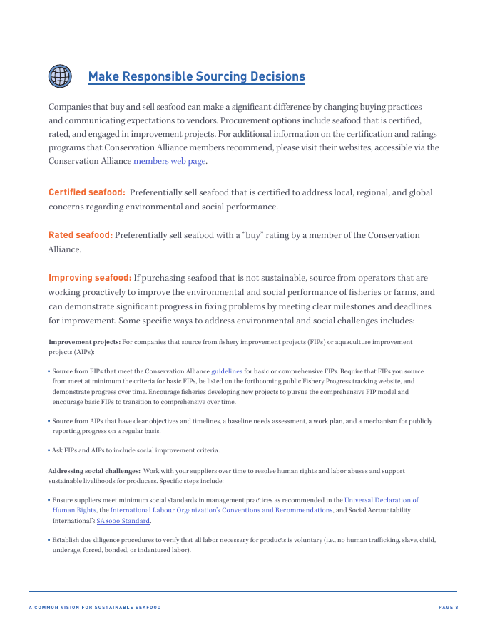 Common Vision report · page 8
