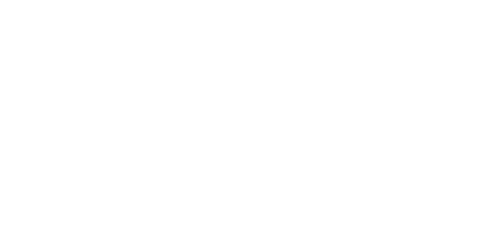 Starry Night Capital lockup · reverse