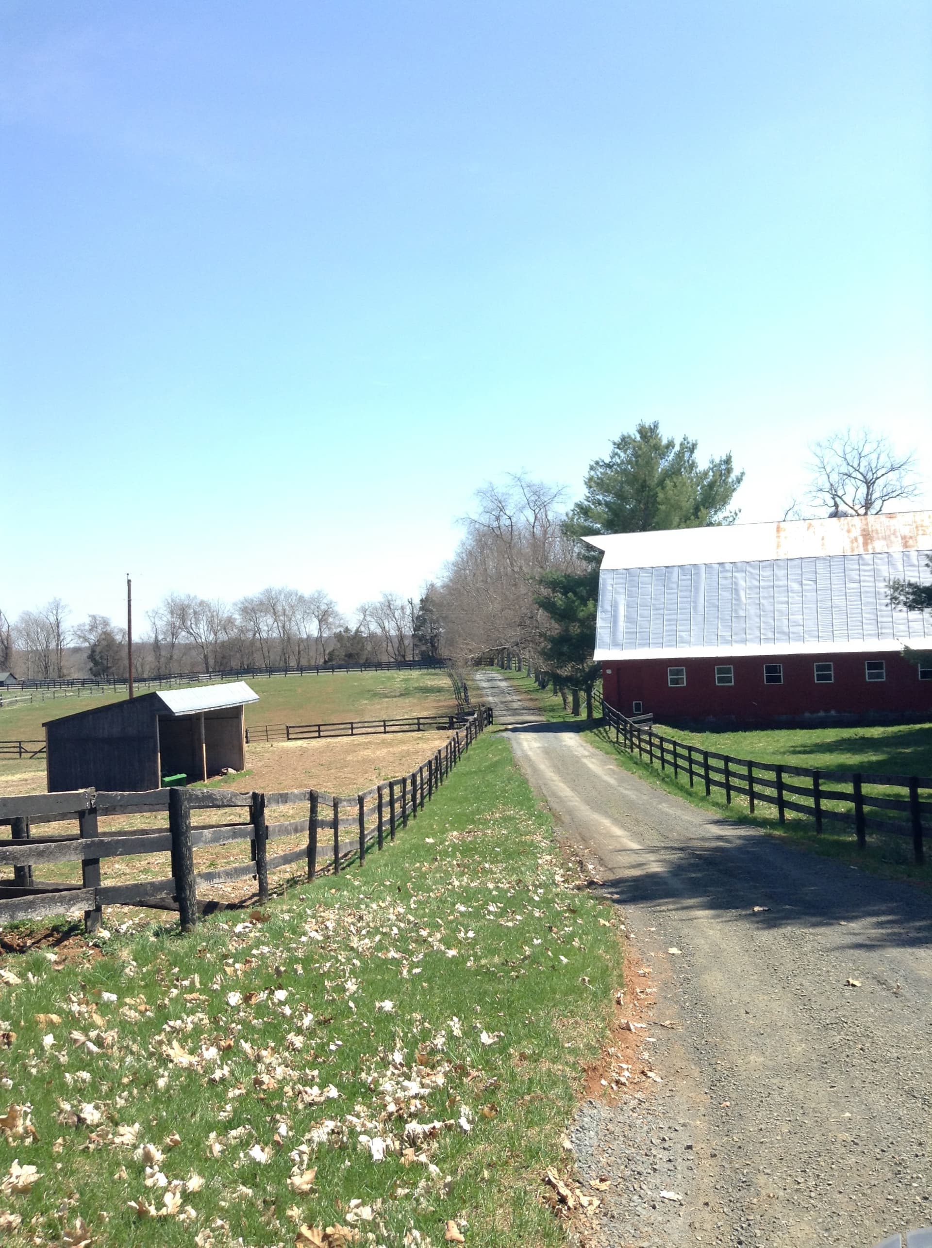 The Casanova farm road in late May 2014.