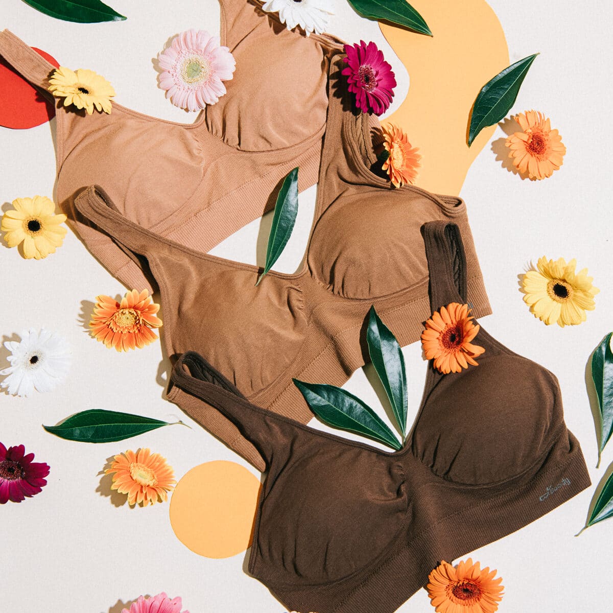 Two bras in the new shades laid out with gerberas and leaves on painted shapes