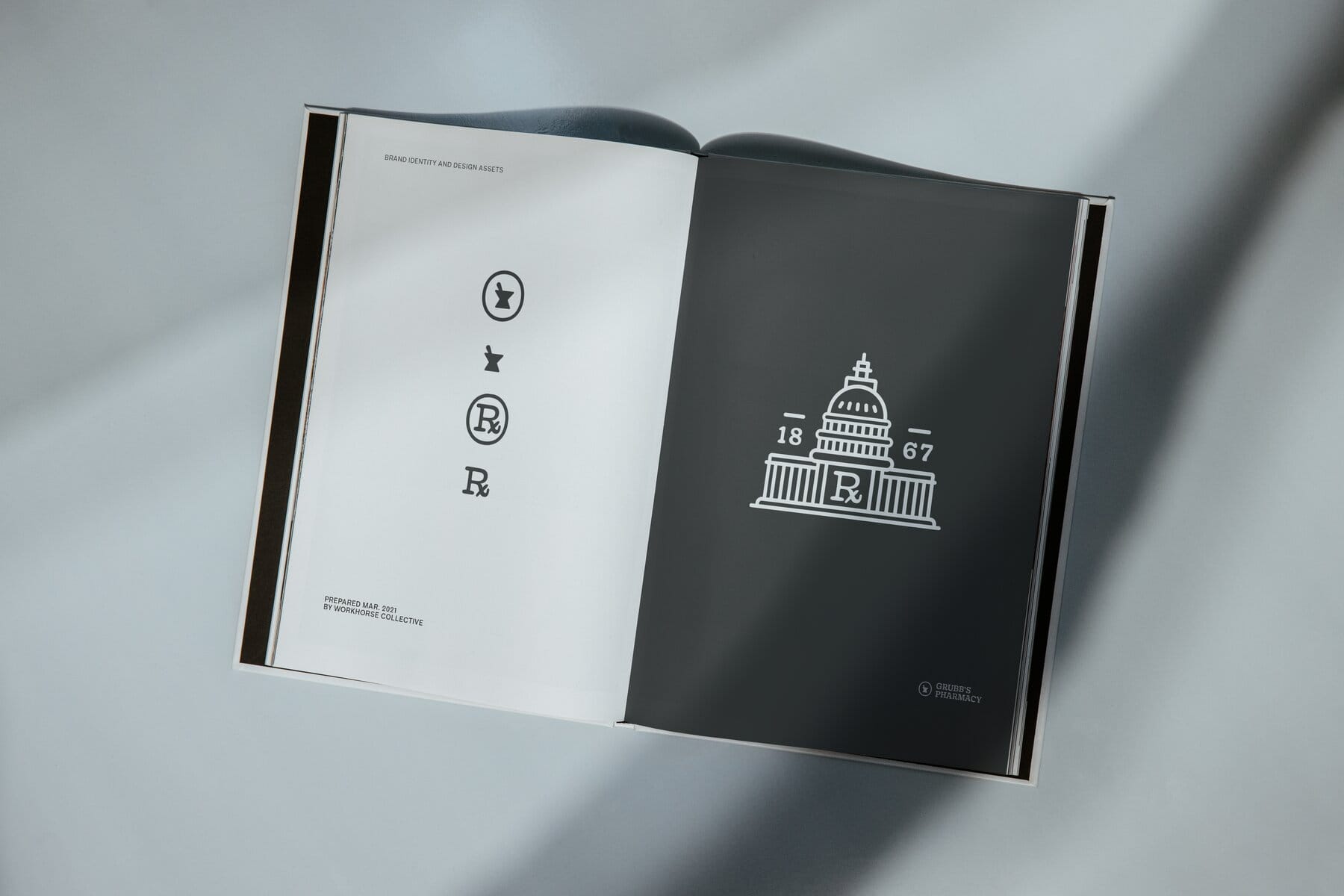 Brand book spread: the mark family and Capitol illustration