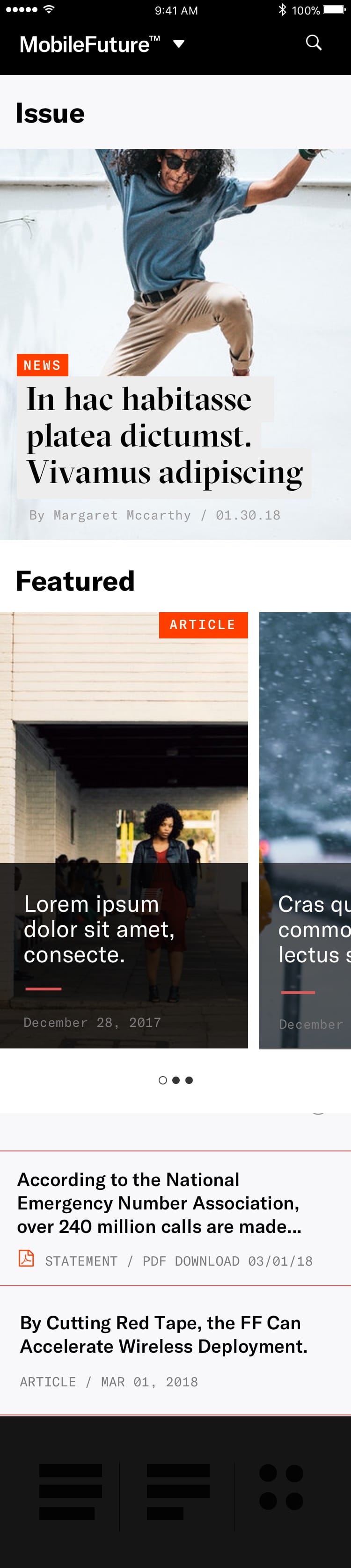 Issue · detail
