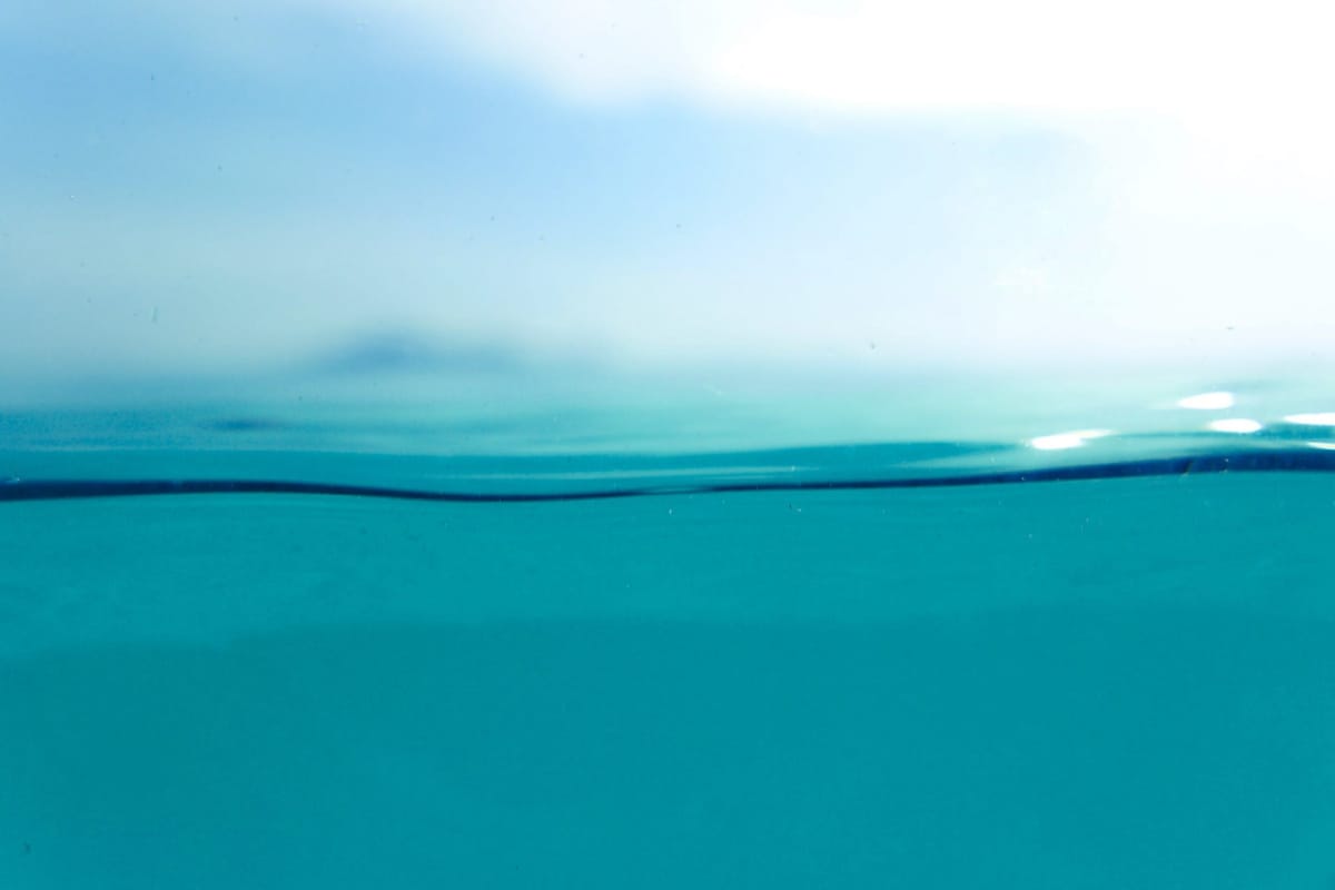 A water line against a pale sky