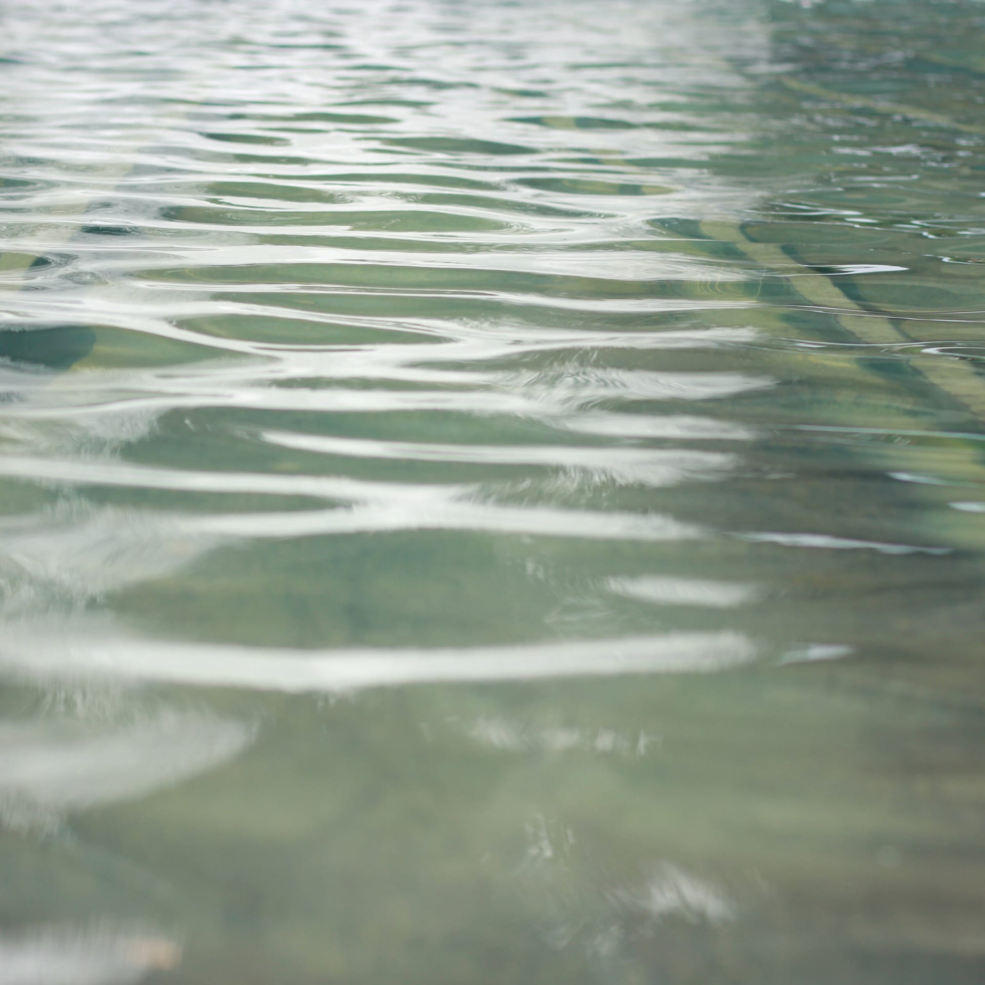 Ripples on gray-green water