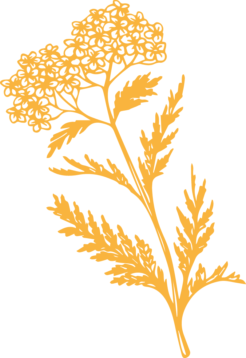 Yellow flower decorative motif