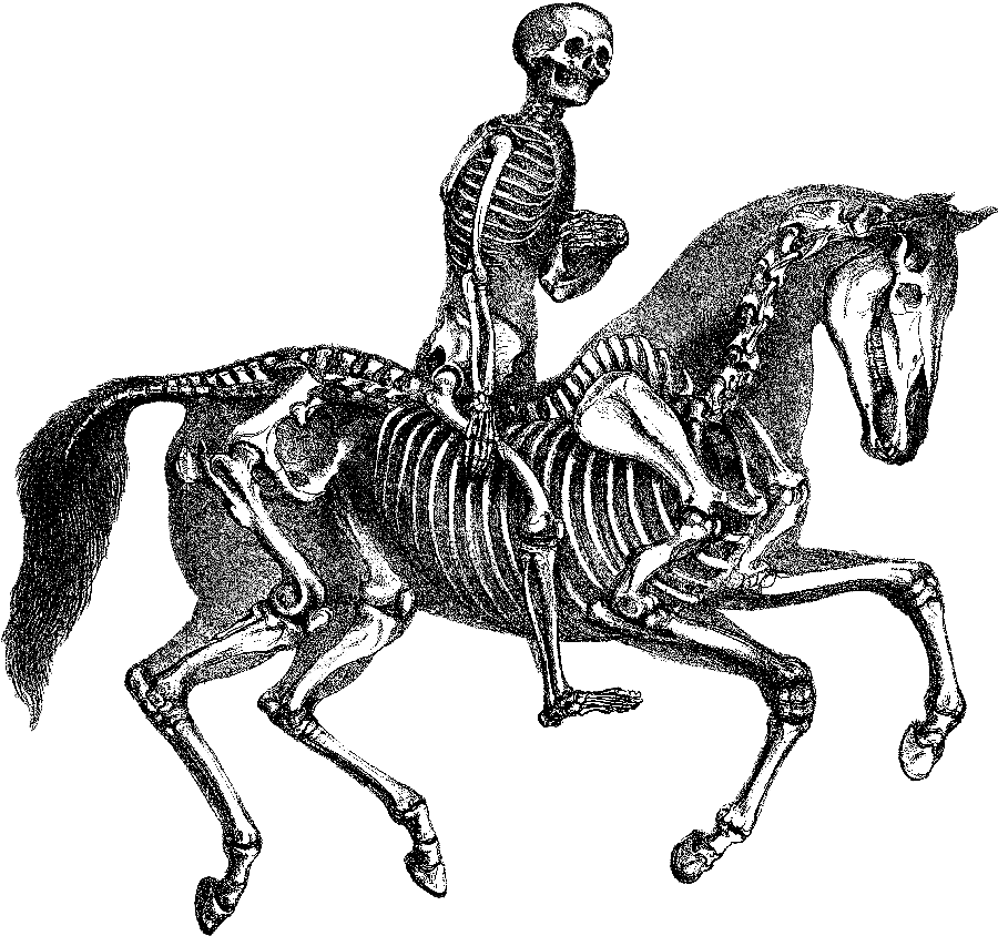 Harness ambition. Shape the future.