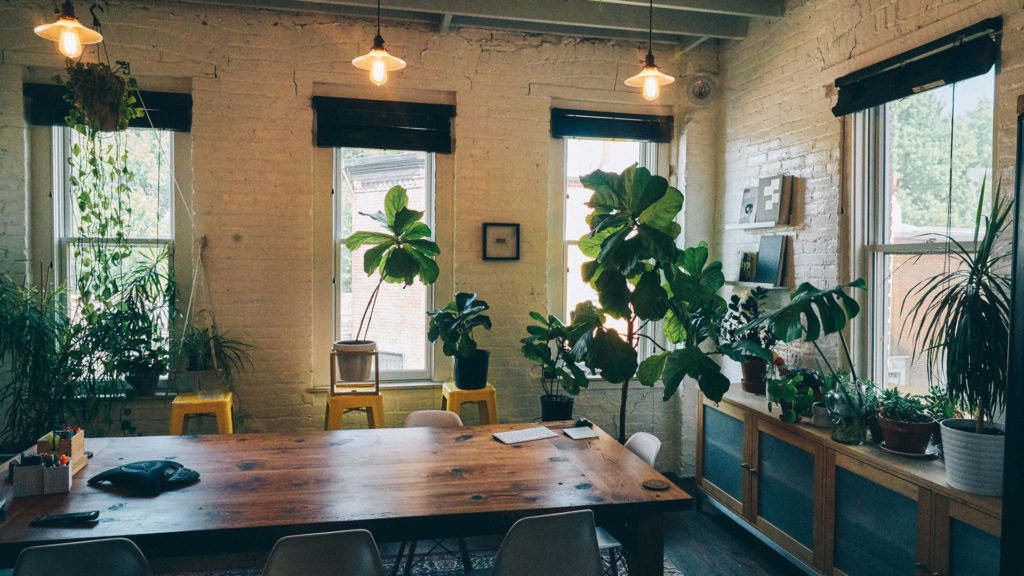 Conference room, summer.
