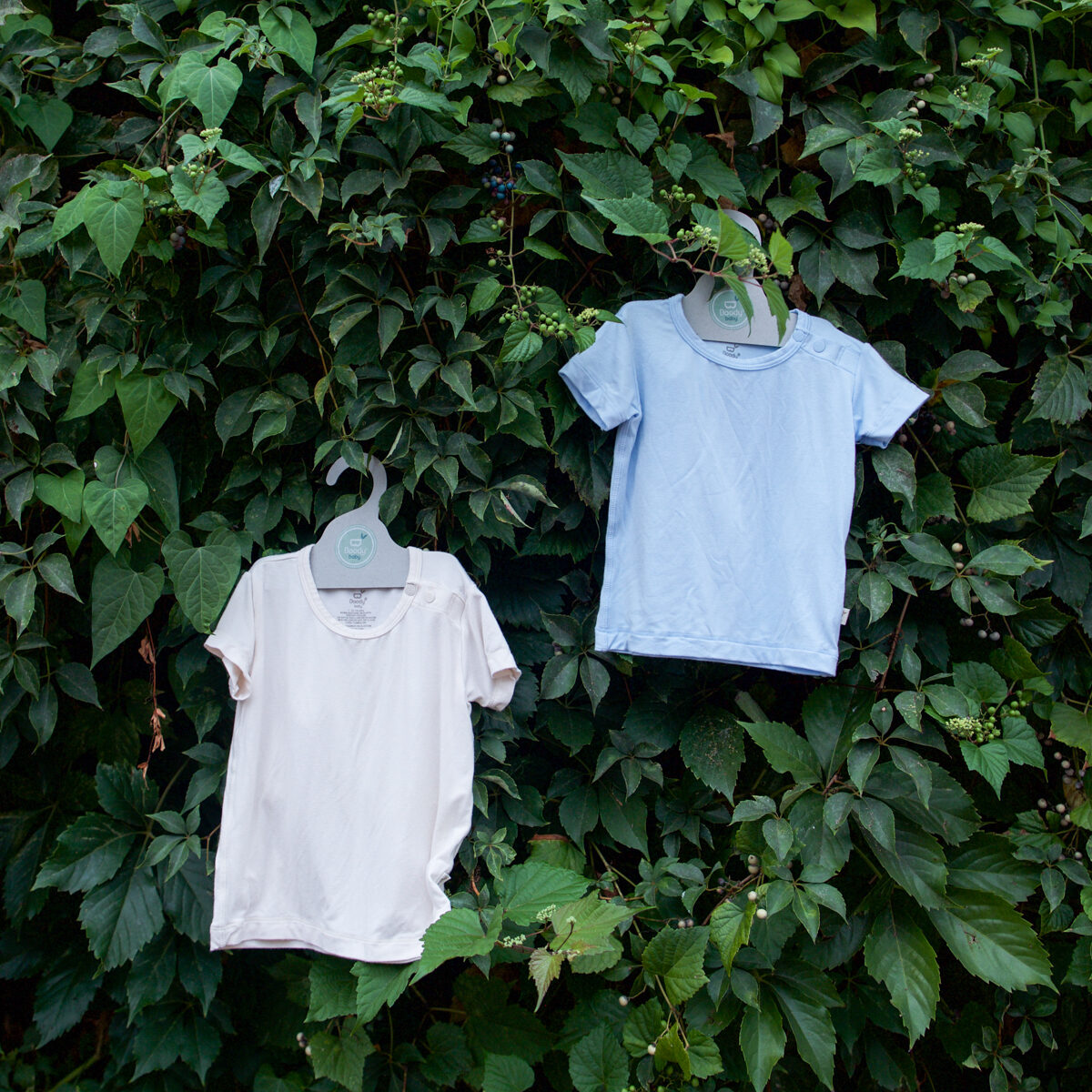 Same family. Different voice.