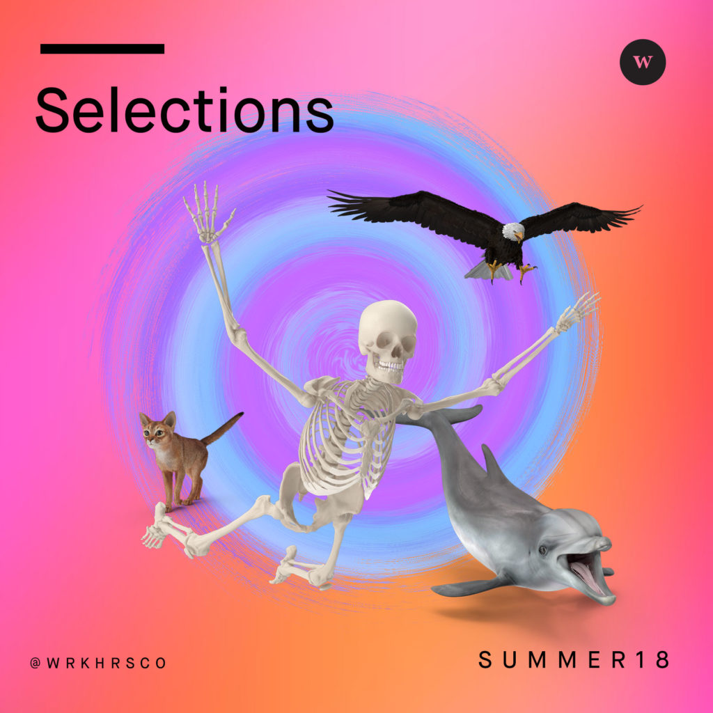 Selections: Summer 2018